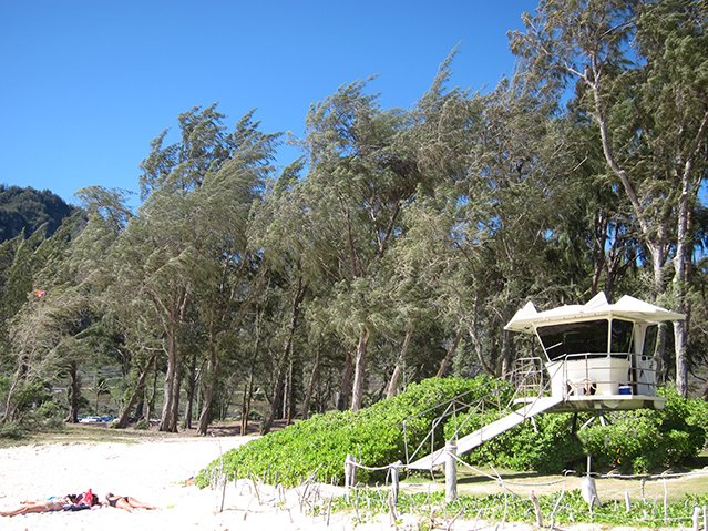 Mini Circle Island【Seat in Coach tour +3 hours + minimum 6 pax】